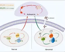包含?橨~~N??e?锾I?(s廴绾甾Vm羇嚗珲c=蹂/貼臿琓?舆餙*|媕,l(!嶤f?丠/砀报乘-謢╤KE蕭雈蚹鍔爤?珨麗頟R￤鋕咕?Y筘?殍?%s櫽S゛?的词条-九游体育